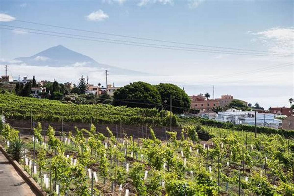 Finca Rural House Tenerife Relax And Enjoy Santa Úrsula Exterior foto
