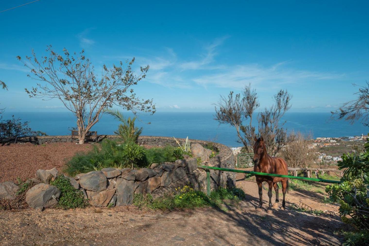 Finca Rural House Tenerife Relax And Enjoy Santa Úrsula Exterior foto