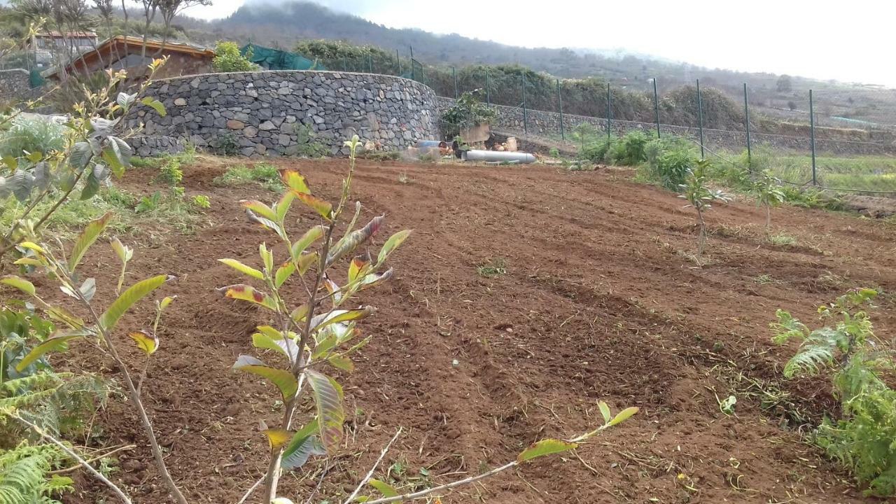 Finca Rural House Tenerife Relax And Enjoy Santa Úrsula Exterior foto